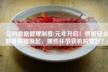公司数据管理制度(元年开启！数据安全制度高楼渐起，哪些环节获机构看好？)