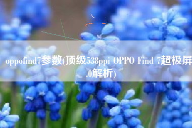oppofind7参数(顶级538ppi OPPO Find 7超极屏2.0解析)