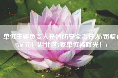 单位主要负责人是消防安全责任人(罚款42760元！湖北这7家单位被曝光！)