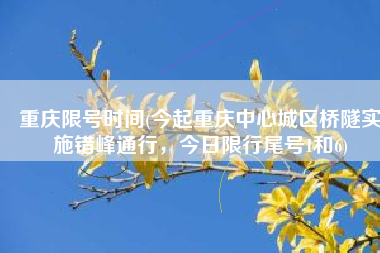 重庆限号时间(今起重庆中心城区桥隧实施错峰通行，今日限行尾号1和6)