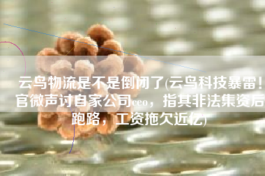 云鸟物流是不是倒闭了(云鸟科技暴雷！官微声讨自家公司ceo，指其非法集资后跑路，工资拖欠近亿)