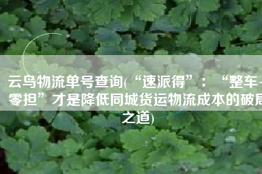 云鸟物流单号查询(“速派得”：“整车+零担”才是降低同城货运物流成本的破局之道)