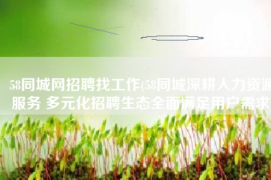 58同城网招聘找工作(58同城深耕人力资源服务 多元化招聘生态全面满足用户需求)