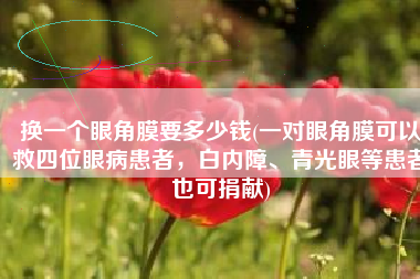 换一个眼角膜要多少钱(一对眼角膜可以救四位眼病患者，白内障、青光眼等患者也可捐献)