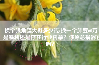 换个眼角膜大概多少钱(换一个肺要60万，是暴利还是存在行业内幕？你愿意捐器官吗？)