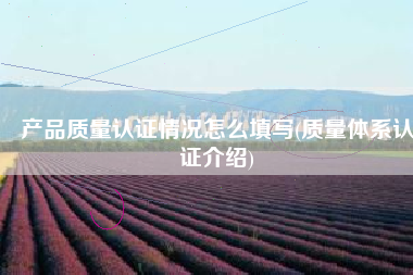 产品质量认证情况怎么填写(质量体系认证介绍)