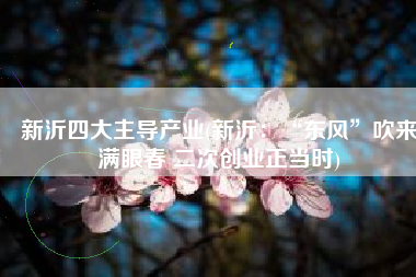 新沂四大主导产业(新沂：“东风”吹来满眼春 二次创业正当时)