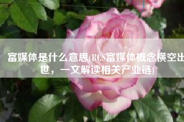 富媒体是什么意思(RCS富媒体概念横空出世，一文解读相关产业链)