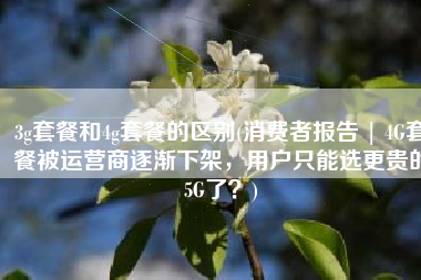 3g套餐和4g套餐的区别(消费者报告 | 4G套餐被运营商逐渐下架，用户只能选更贵的5G了？)