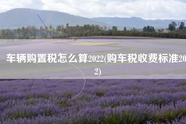车辆购置税怎么算2022(购车税收费标准2022)