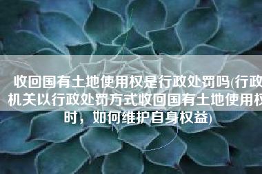 收回国有土地使用权是行政处罚吗(行政机关以行政处罚方式收回国有土地使用权时，如何维护自身权益)