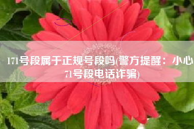 171号段属于正规号段吗(警方提醒：小心171号段电话诈骗)