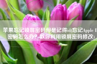 苹果忘记锁屏密码但是记得id(忘记Apple ID密码怎么办？教你利用锁屏密码修改)