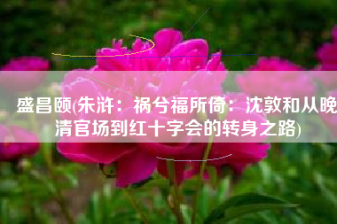 盛昌颐(朱浒：祸兮福所倚：沈敦和从晚清官场到红十字会的转身之路)