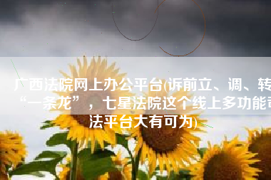 广西法院网上办公平台(诉前立、调、转“一条龙”，七星法院这个线上多功能司法平台大有可为)