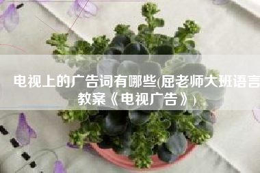 电视上的广告词有哪些(屈老师大班语言教案《电视广告》)