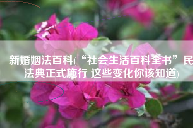 新婚姻法百科(“社会生活百科全书”民法典正式施行 这些变化你该知道)