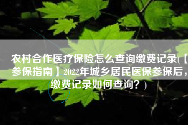 农村合作医疗保险怎么查询缴费记录(【参保指南】2022年城乡居民医保参保后，缴费记录如何查询？)