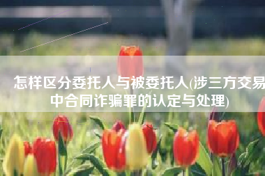 怎样区分委托人与被委托人(涉三方交易中合同诈骗罪的认定与处理)