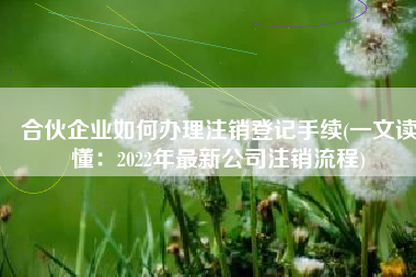 合伙企业如何办理注销登记手续(一文读懂：2022年最新公司注销流程)
