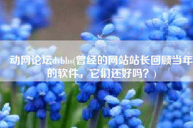 动网论坛dvbbs(曾经的网站站长回顾当年的软件，它们还好吗？)