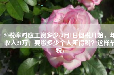 20税率对应工资多少(3月1日退税开始，年收入21万，要缴多少个人所得税？这样节税)