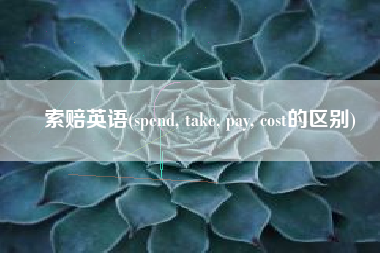 索赔英语(spend, take, pay, cost的区别)