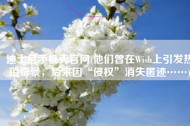 迪士尼手机壳官网(他们曾在Wish上引发热销奇景，后来因“侵权”消失匿迹……)