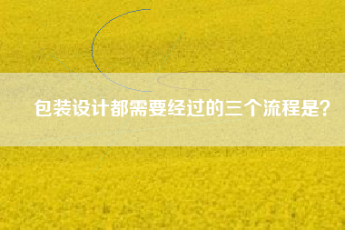 包装设计都需要经过的三个流程是？
