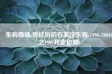 东购商场(我经历的石家庄东购(1996-2004)之1997开业初期)