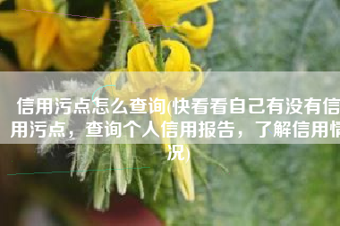 信用污点怎么查询(快看看自己有没有信用污点，查询个人信用报告，了解信用情况)