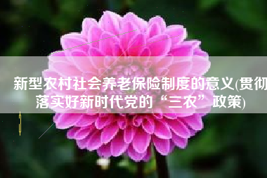 新型农村社会养老保险制度的意义(贯彻落实好新时代党的“三农”政策)
