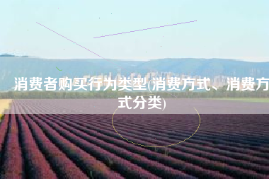 消费者购买行为类型(消费方式、消费方式分类)