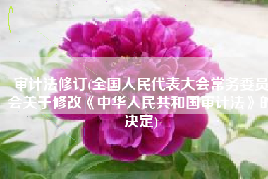 审计法修订(全国人民代表大会常务委员会关于修改《中华人民共和国审计法》的决定)