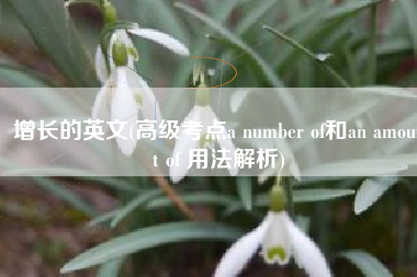 增长的英文(高级考点a number of和an amount of 用法解析)