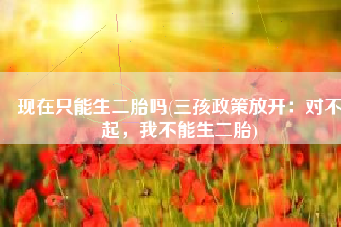 现在只能生二胎吗(三孩政策放开：对不起，我不能生二胎)