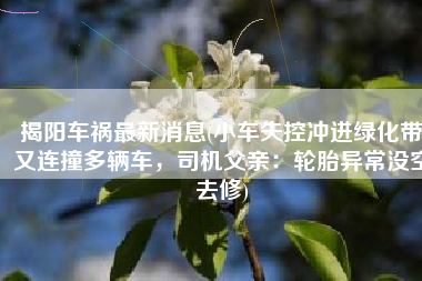 揭阳车祸最新消息(小车失控冲进绿化带又连撞多辆车，司机父亲：轮胎异常没空去修)