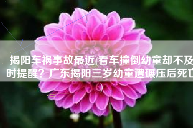 揭阳车祸事故最近(看车撞倒幼童却不及时提醒？广东揭阳三岁幼童遭碾压后死亡)