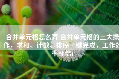 合并单元格怎么弄(合并单元格的三大操作，求和、计数、排序一键完成，工作效率翻倍)