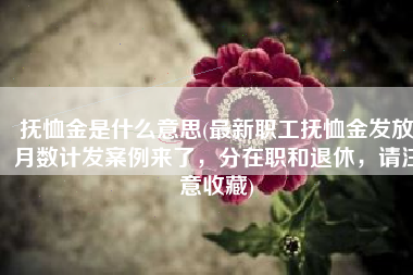 抚恤金是什么意思(最新职工抚恤金发放月数计发案例来了，分在职和退休，请注意收藏)