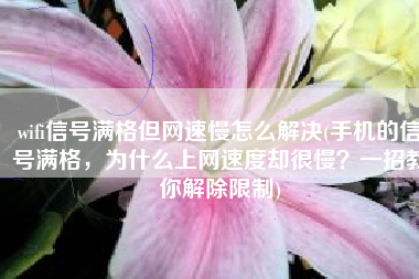 wifi信号满格但网速慢怎么解决(手机的信号满格，为什么上网速度却很慢？一招教你解除限制)