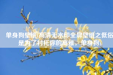 单身狗壁纸(高清无水印全屏壁纸之低俗是为了衬托你的高雅，单身狗)