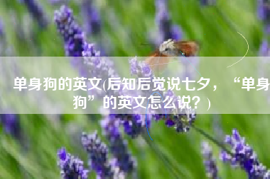 单身狗的英文(后知后觉说七夕，“单身狗”的英文怎么说？)