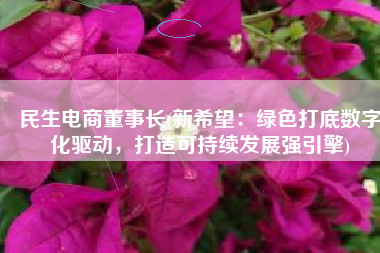 民生电商董事长(新希望：绿色打底数字化驱动，打造可持续发展强引擎)