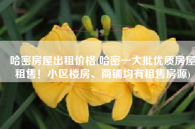 哈密房屋出租价格(哈密一大批优质房屋租售！小区楼房、商铺均有租售房源)