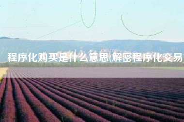 程序化购买是什么意思(解密程序化交易)