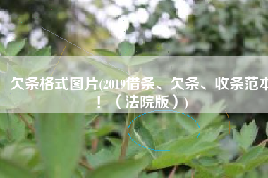 欠条格式图片(2019借条、欠条、收条范本！（法院版）)