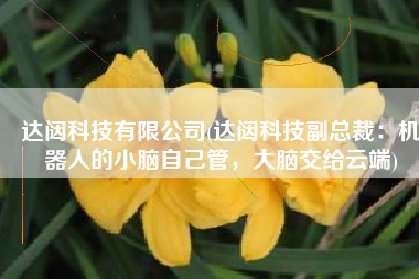达闼科技有限公司(达闼科技副总裁：机器人的小脑自己管，大脑交给云端)