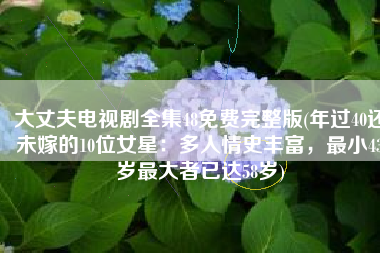 大丈夫电视剧全集48免费完整版(年过40还未嫁的10位女星：多人情史丰富，最小43岁最大者已达58岁)