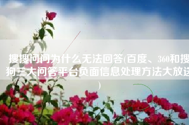 搜搜问问为什么无法回答(百度、360和搜狗三大问答平台负面信息处理方法大放送)